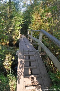 2010_10_13- 103 Fischerhude