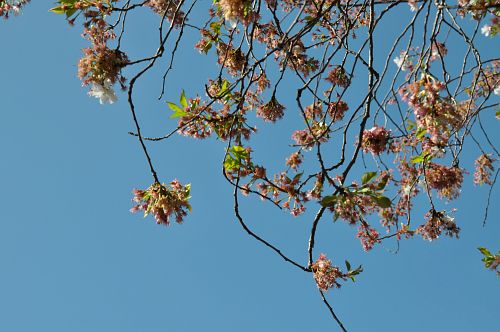 2011_04_07- 125