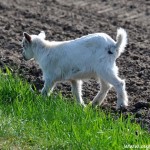 2011_04_20- 001 - Kopie