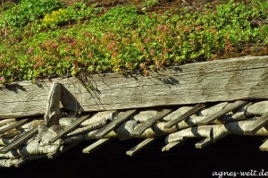 Skansen