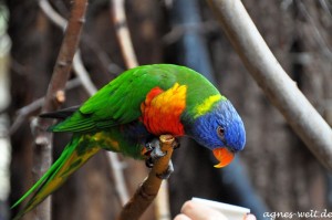 Allwetterzoo Münster