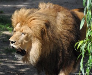 Allwetterzoo Münster Allwetterzoo Münster