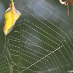 2011_09_28- 083 - Kopie