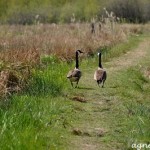 Karius, Aphorismen Karius, Aphorismen