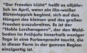 Lerchensporn Lerchensporn