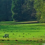 Romberg Park im November Romberg Park im November
