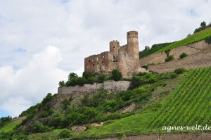 Burg Ehrenfels