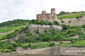 Burg Ehrenfels