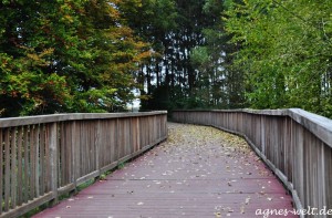 Herbst im Münsterland