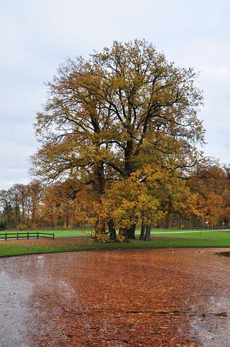 ringelnatz_herbstfluss