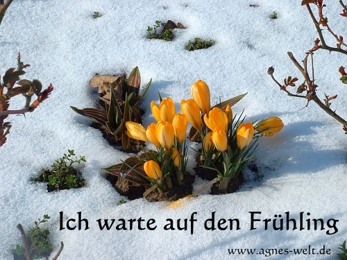 Frühling