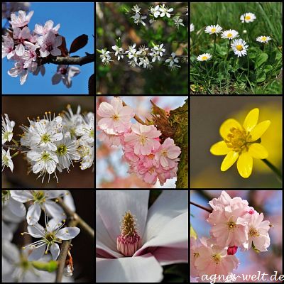 Es muß    d o c h    Frühling werden. Es muß    d o c h    Frühling werden.