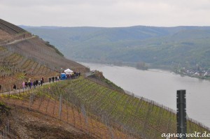 Mittelrheinischer Weinfrühling im Bopparder Hamm