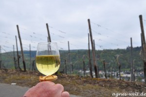 Mittelrheinischer Weinfrühling im Bopparder Hamm