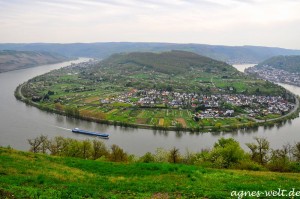 Rheinschleife bei Boppard