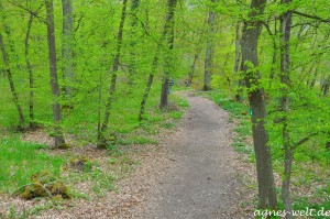 Wanderung