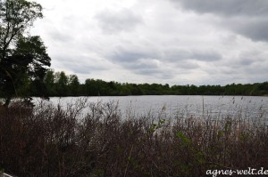 Erdfallsee Erdfallsee