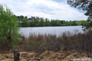 Erdfallsee Erdfallsee