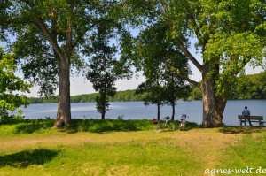 Picknickplatz kurz vor der Talbrücke Hullener Stausee