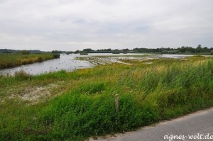 Rieselfelder Rieselfelder