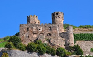 Ruine Ehrenfels