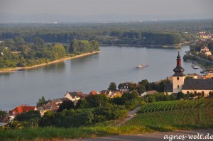 Weinbergsrundfahrt