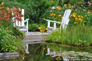 Planten un Blomen