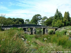 Clapper Bridge im Dartmoor