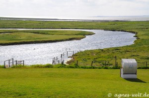 Blick aus dem Fenster