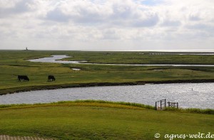 Blick aus dem Fenster