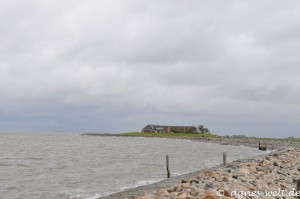 schwimmende Träume schwimmende Träume