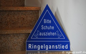 Ringelganstied