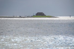 schwimmende Träume schwimmende Träume