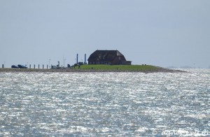 schwimmende Träume schwimmende Träume