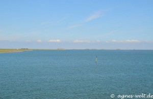 schwimmende Träume schwimmende Träume