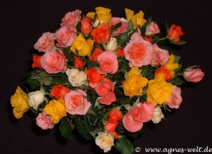 03 02 25 018 - Kopie