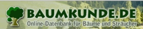 Baumkunde