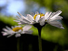 © by agnes