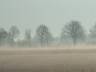 Nebel