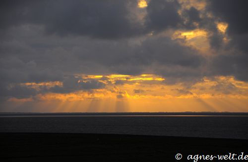 © by Agnes